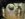 2D46BFB2-BBC7-4FC8-BB13-000AFF3E9941.jpeg