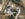45C6B5F1-6927-4C15-B0D0-7BC7A5B73B8D.jpeg
