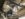 01582F22-6149-4CB1-835A-9B26779E8E75.jpeg