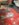 C2D6253E-90F2-4DDE-AA9B-EAE905B0FF32.jpeg
