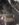 607A2CE7-07EC-46F4-93E4-5D054717C7AC.jpeg