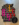 MVIMG_20200711_115257 (1).png