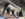 6B867774-7107-4FCC-983C-5B60D994C763.jpeg