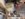 4D84227C-E8E1-430C-8B5D-54E3DC8116D6.jpeg