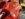 6AFF5F80-A665-4958-B9F7-7070D4A04A8D.jpeg