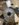 4F188512-F419-4914-9816-31F1C64CE87B.jpeg