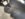 AC8CC376-E6E1-4638-8871-61478E2CE5A9.jpeg