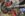 34C19E6A-45D2-400B-A2CB-4BE9148E2138.jpeg