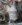 20201125_093124_resized.jpg
