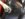 9002B3A8-44A9-4D68-A511-E258D645DF62.jpeg