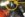 3F3CA379-9706-49A1-A724-BFEA80F1D9AB.jpeg