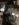 80C2D60F-E3CB-4447-B0F8-8D33F710C2A9.jpeg