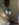 82B516FE-8B6E-49FF-8641-2AE4A6057ABC.jpeg