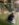 82405131-FF63-468A-B021-8EDBEE42C995.jpeg