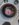 129529325_365103407916559_9114462235252531286_n.jpg