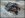 153540162_505110323_0[1].jpg