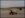 153539835_505109191_0[1].jpg