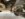 B3FBCD9D-C7C9-4BF4-97C9-A57FCE41D71A.jpeg