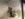 3E1A9F77-3754-4744-9708-58C41855E2D8.jpeg