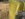 3CDEA787-8AE7-4612-B31B-CF8B7FAD8E1F.jpeg
