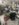 8D8D7CED-0EBB-4E6E-B041-890E43DA4706.jpeg