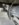 2959037A-6D13-4677-9A79-1B86C464C3E4.jpeg