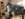 1E477625-17DA-42FF-A414-11EDE62F7C09.jpeg
