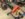 11DF04F0-D0AC-49CC-84C4-66136A7E0D87.jpeg