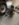 A7F7AB15-469F-48D2-962C-AD9FE33C04EE.jpeg