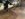6DF516ED-5C3B-4CD7-A3EF-2F0E696D1D09.jpeg