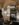 07662482-F339-4078-8EA5-8413019F5284.jpeg