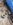 573165CE-4CB4-46CE-A605-D72D922FD254.jpeg