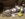 EC58F695-3DF3-48BD-908A-0AB77FFF6D01.jpeg