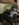 34B36711-7F87-4D42-8D8A-71F4EB1201C5.jpeg