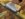 566ACC10-5DE7-4BEB-81FE-DF70B08ADE33.jpeg