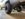 upload_2020-12-21_9-8-28.jpeg