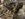 upload_2020-12-21_9-15-15.jpeg
