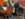 upload_2020-12-21_9-32-50.jpeg