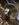 410FF2C6-C50F-4ADB-861C-8177F318D16D.jpeg