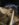 4C2F4A2A-AD0D-4377-AF1D-D6F78B9D68EE.jpeg