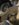 22CCE0C8-9175-4F38-8B2D-1A6CD106C779.jpeg