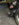 92C7E159-6999-42E8-8C13-A4B6DF293F92.jpeg