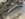 8A969BA9-6662-445D-B63C-6747F3B52923.jpeg