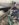 E05B1FD3-3B2C-4BB3-9E13-7545C0CEB43D.jpeg