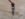 ED62F77E-5287-43A9-876F-97FC887D19B8.jpeg