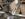 BEEAA311-1641-4DFC-8E0C-6A1A107C52EF.jpeg
