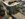 74298815-C625-41F5-9A8F-0569E41191A9.jpeg