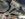 2AFD6585-DC67-4FF1-B3E0-0A29E61016F0.jpeg