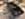 2047323D-A8E2-4A6E-BBBF-F59B3ECBD2D8.jpeg