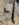 5460AAF5-C46D-435F-AF1D-9432C263FC81.jpeg